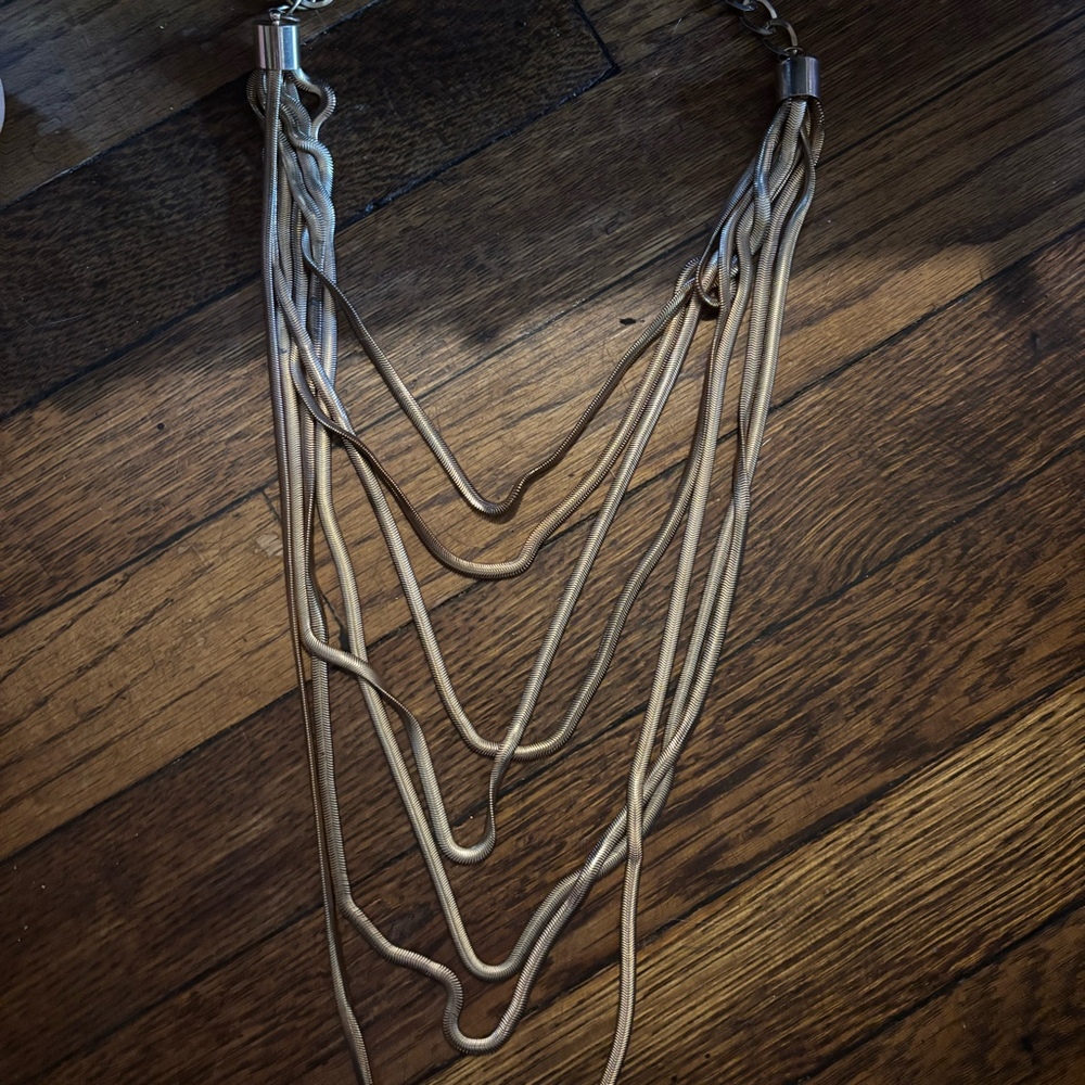 Paparazzi necklace
